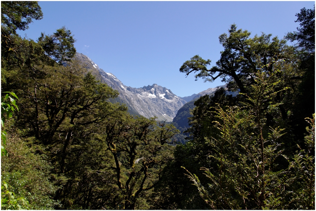 05 - Milford Sound (21) - Routeburn Track.jpg